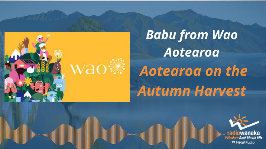 Babu from Wao Aotearoa on the Autumn Harvest