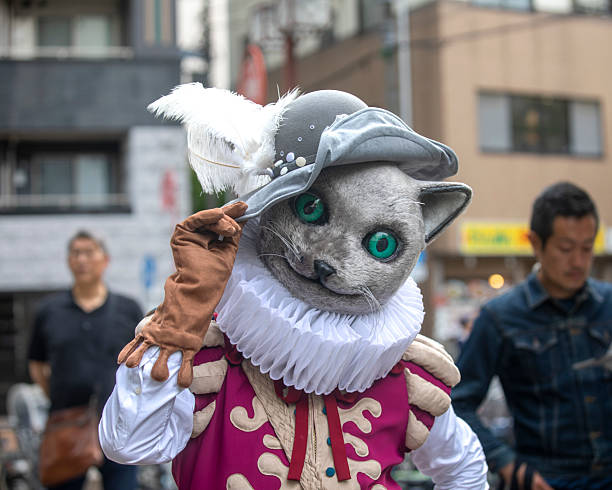 🐾 Paw-sitively Bizarre: The Mysterious Beach Cat of Wirral