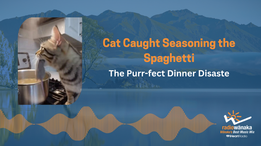 The Purr-fect Dinner Disaster: Cat Caught Seasoning the Spaghetti