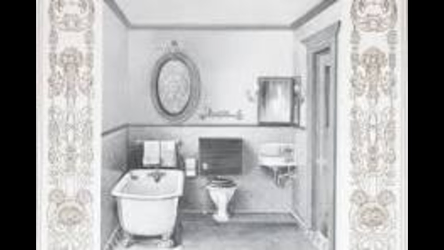 Bathroom Bacteria: What’s Lurking in Your Showerhead and Toothbrush?